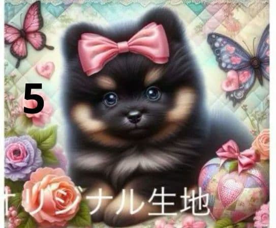 ★オーダーページ★ハンカチ　パッチワーク　ポメラニアン柄5/17