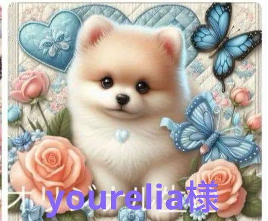 ★オーダーページ★ハンカチ　パッチワーク　ポメラニアン柄5/17