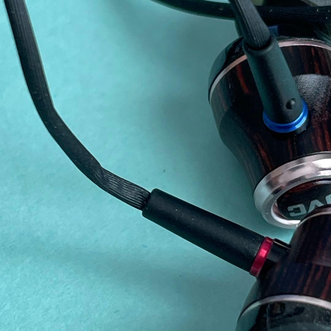 JVCケンウッド イヤホン HA-FW03