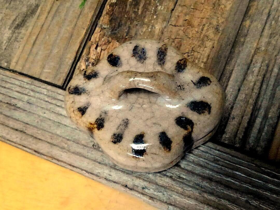 ♥志野　香合　桐箱付き　骨董品