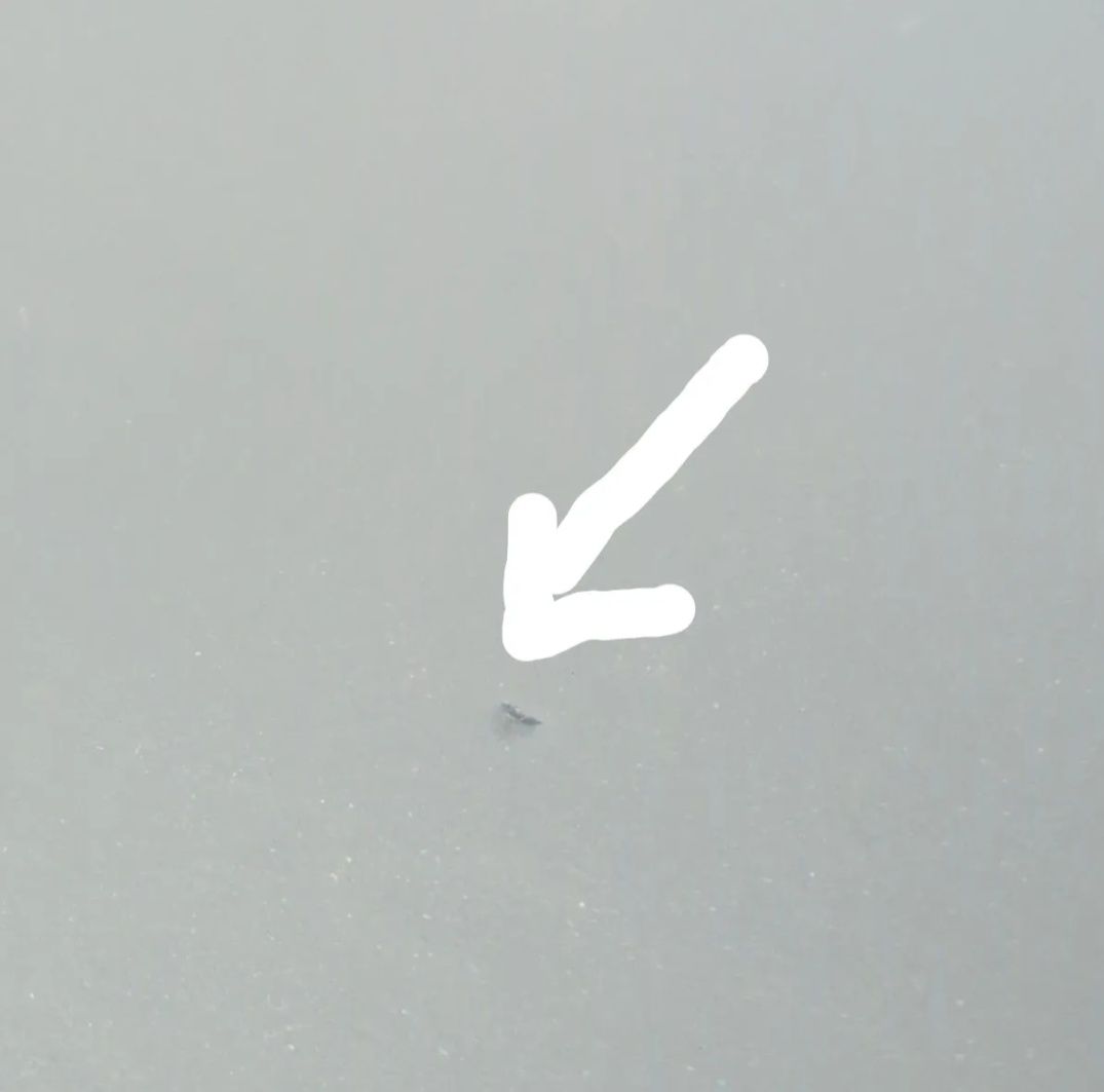 （van_gelder）ArtekStool60　スモーキーブルー×ハニー