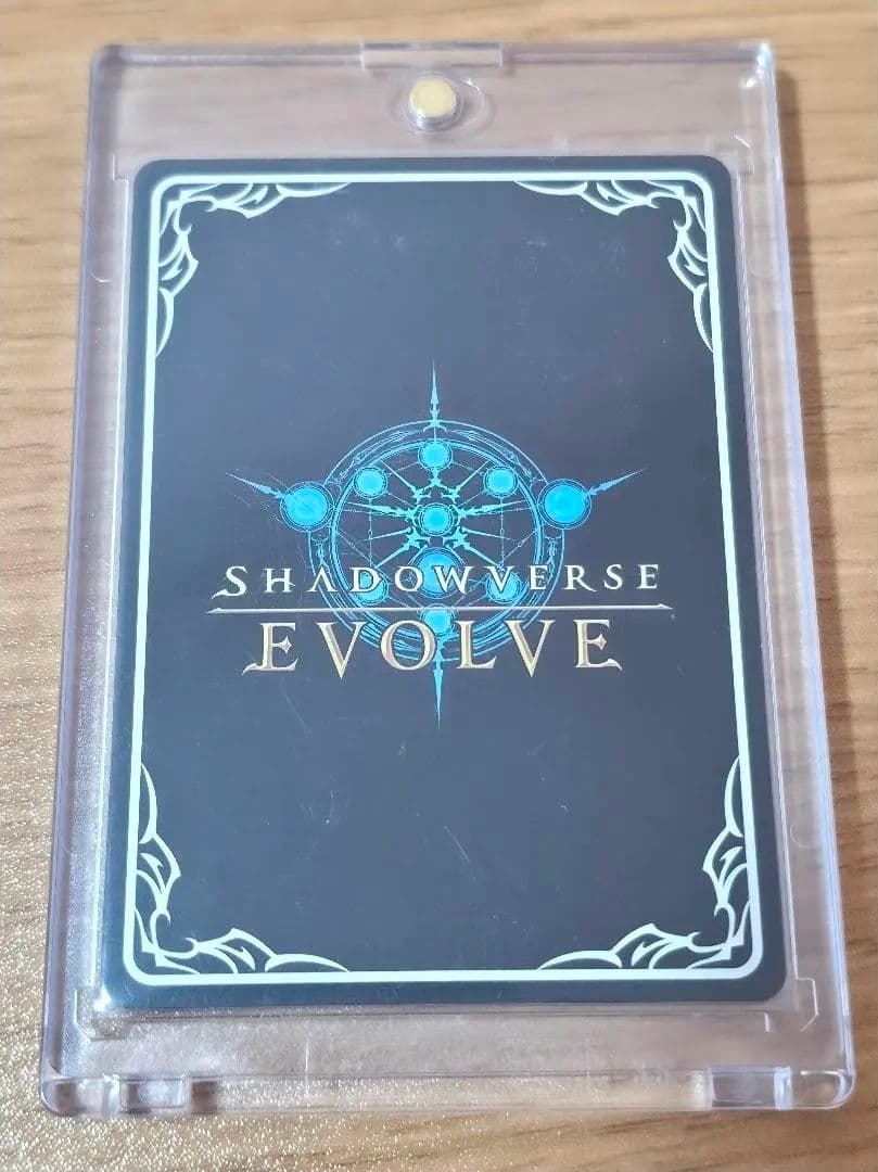 【稀少】ウマ娘　SP SSP リーダー　計29枚　セット　カード　トレカ