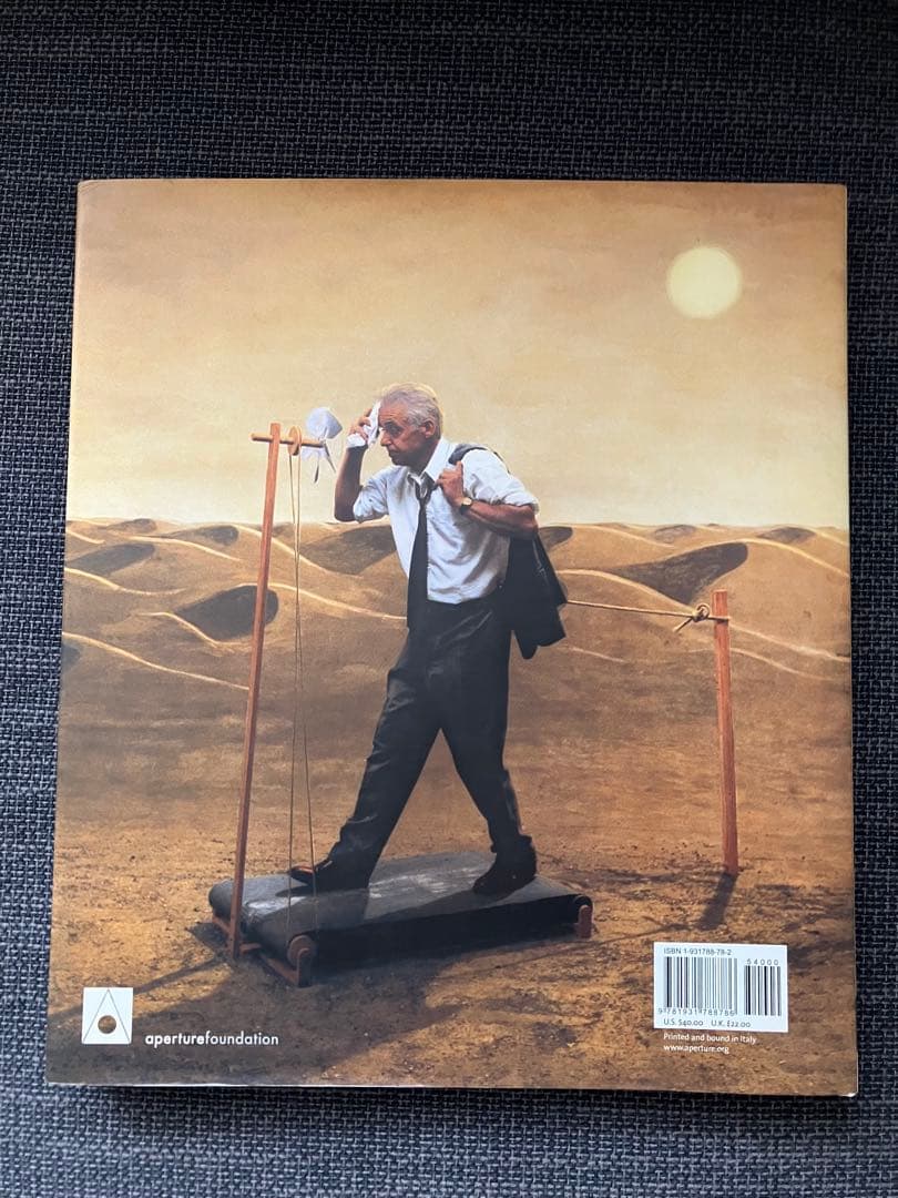 【超レア】TEUN HOCKS 絵画集