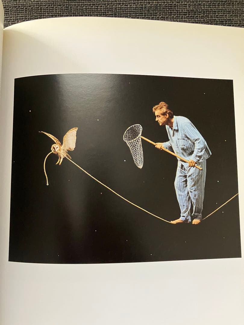 【超レア】TEUN HOCKS 絵画集