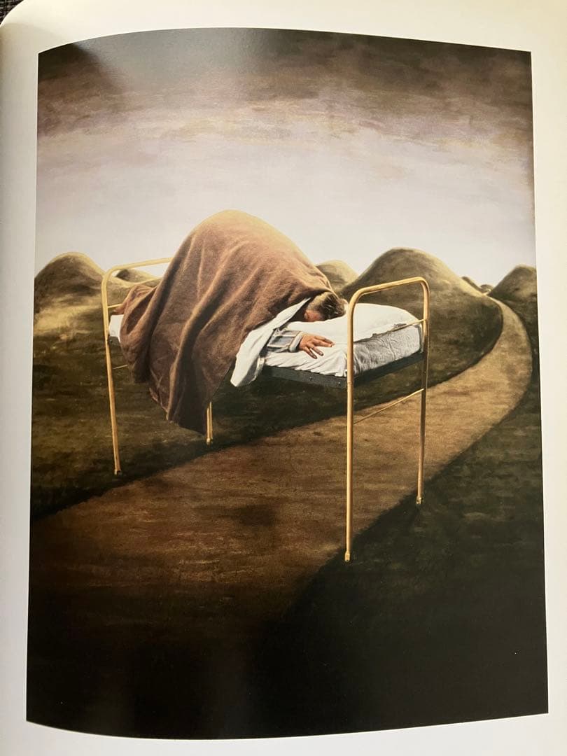 【超レア】TEUN HOCKS 絵画集