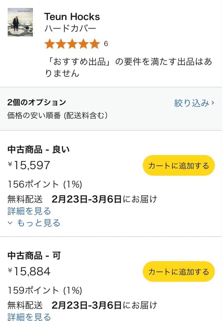 【超レア】TEUN HOCKS 絵画集