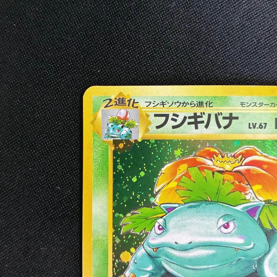 美品 フシギバナ 旧裏 渦巻きホロ