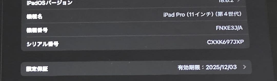 Apple IPad Pro 11インチ(第4世代)