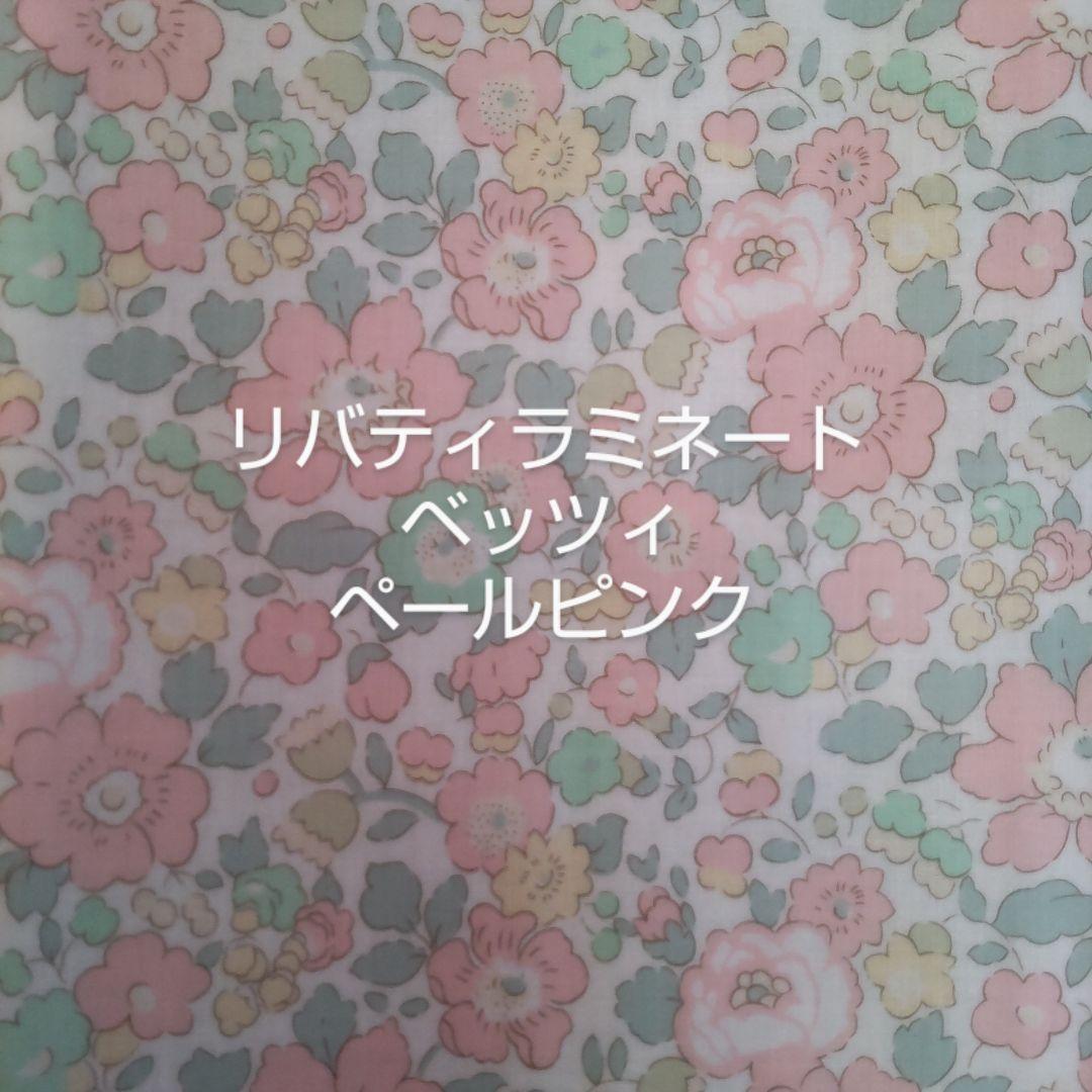 【オーダー】ニコラス・ミドォ様　キラキラポケットティッシュケースキッズサイズ