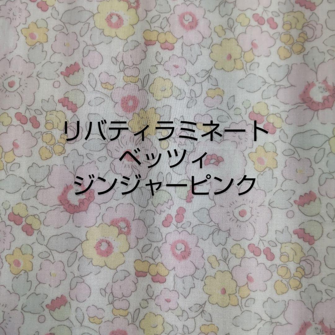 【オーダー】ニコラス・ミドォ様　キラキラポケットティッシュケースキッズサイズ