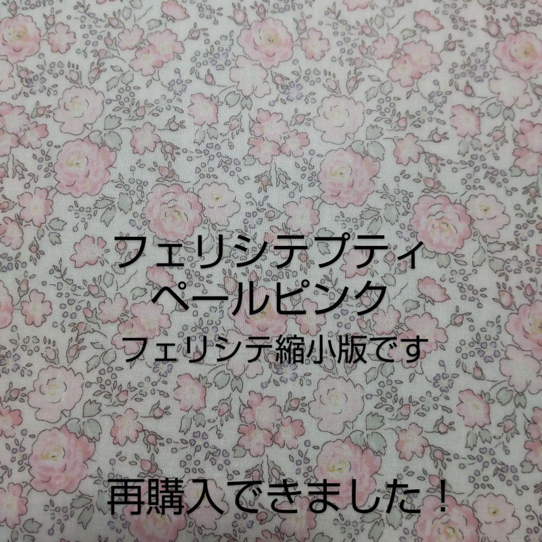 【オーダー】ニコラス・ミドォ様　キラキラポケットティッシュケースキッズサイズ