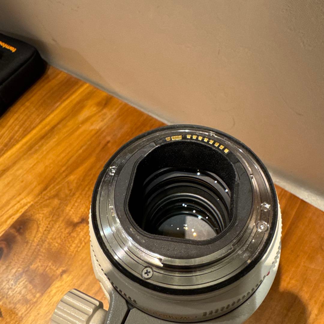 Canon EF 70-200mm f/2.8L IS Ⅱ USM レンズ