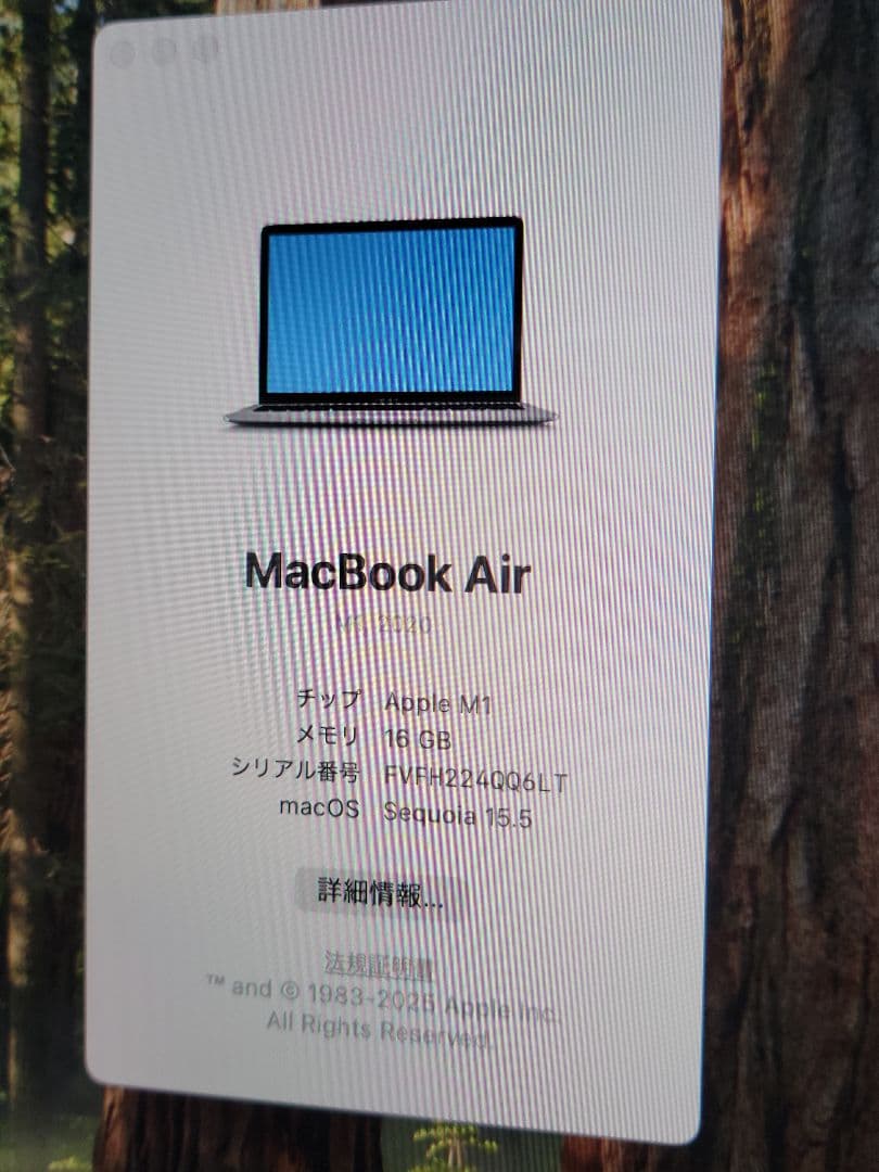 美品　上位モデルMacbook Air 2020 M1/16GB/512GB
