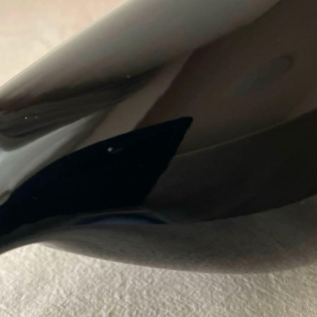 ヌータヤルヴィ　バード　オイバトイッカ　クロウ　カラス