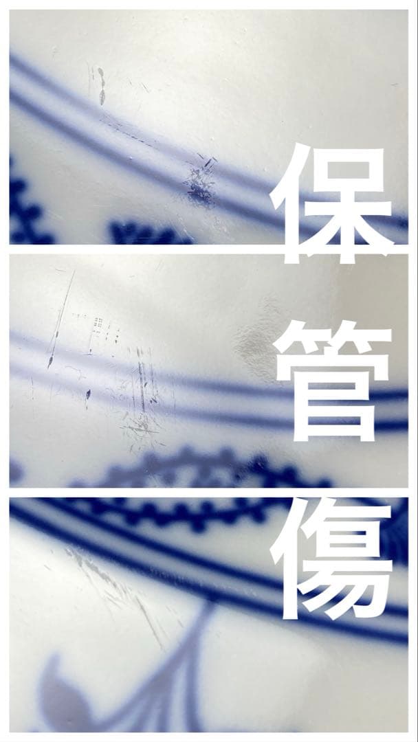 カールスバード　ブルーオニオン　プレート　ツヴィーベルムスター　パスタ　カレー