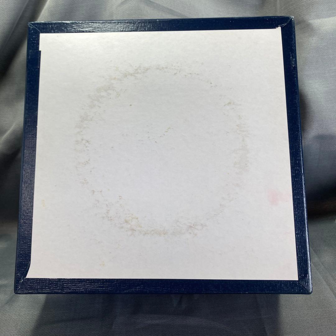 カールスバード　ブルーオニオン　プレート　ツヴィーベルムスター　パスタ　カレー