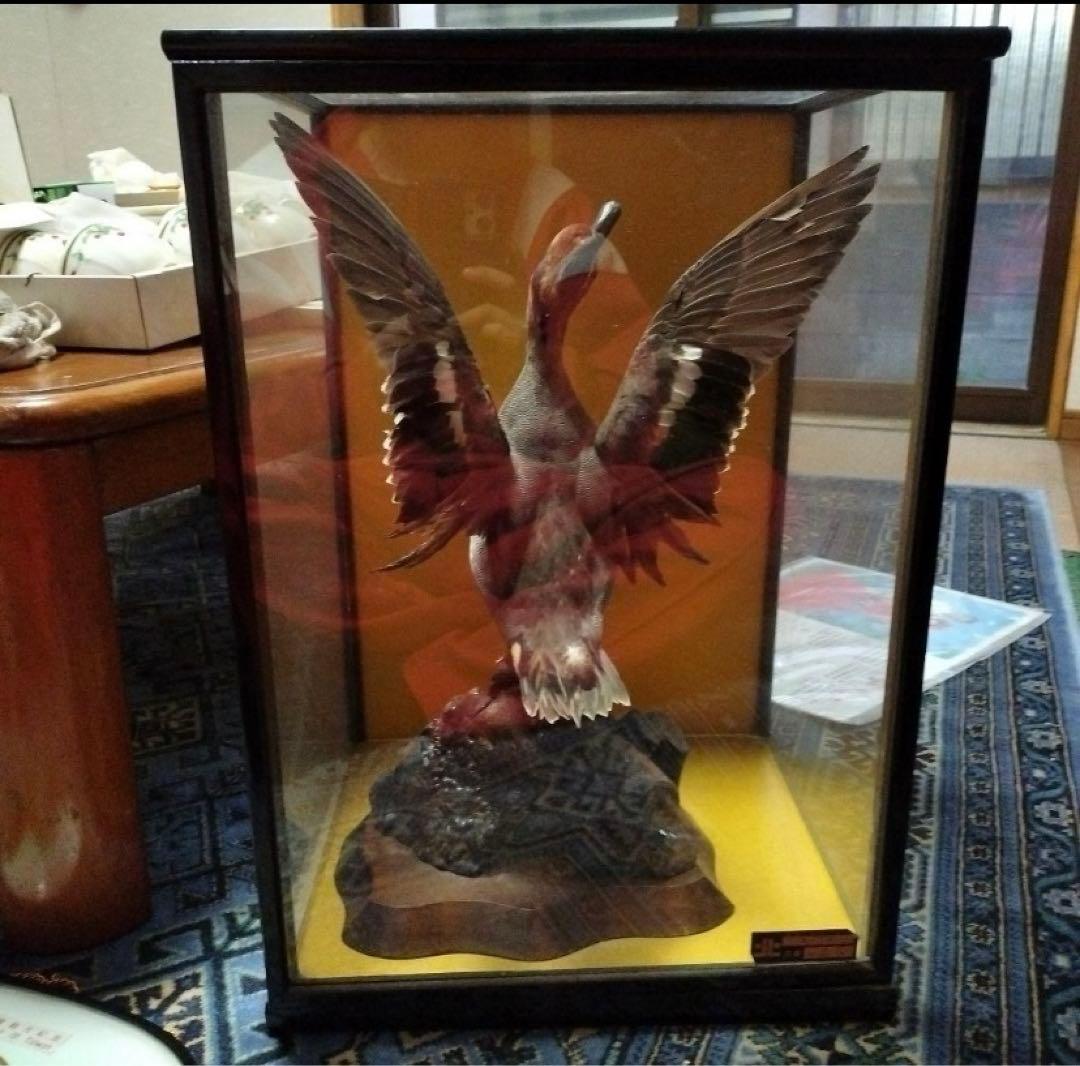 剥製のコガモ