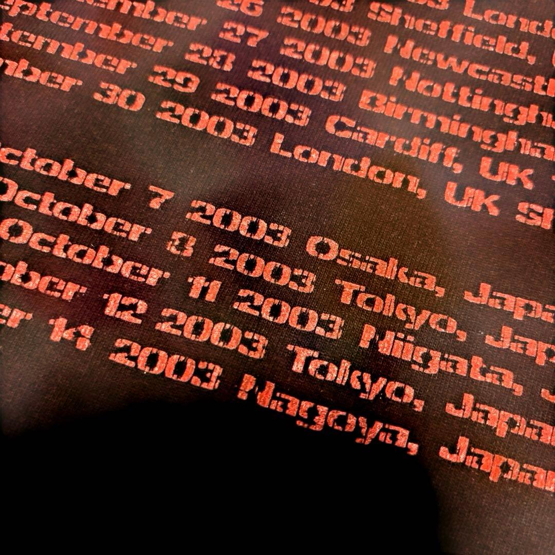 【激レア・美品】ハノイロックス 2003-2004 ツアーTシャツ SHOOT