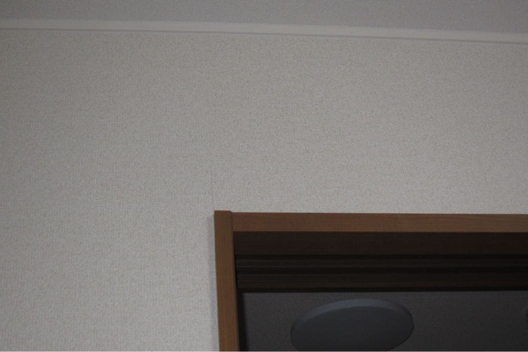 【オールドコンデジ】 Canon IXY 31S