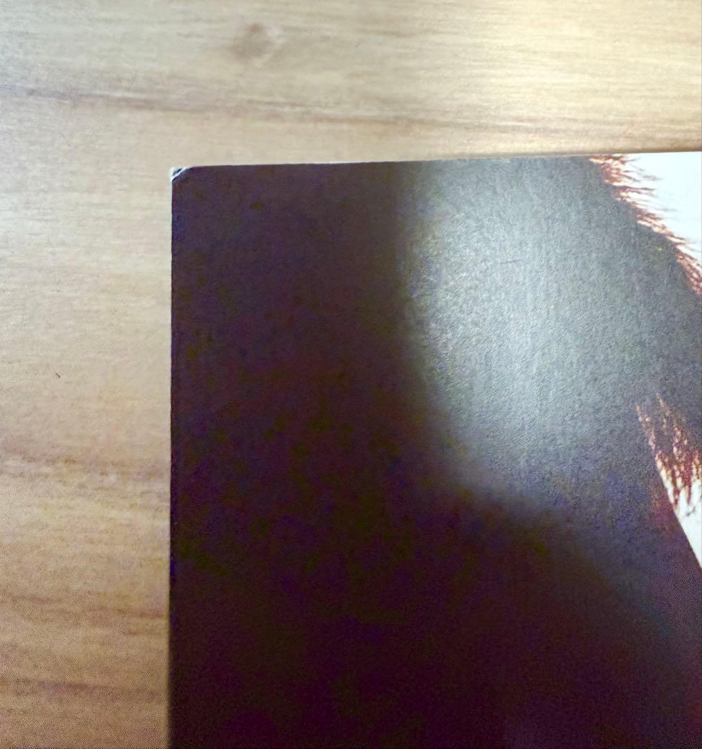 当時物　JUN SKY WALKER(S) ツアーパンフ3冊＆ステッカー セット