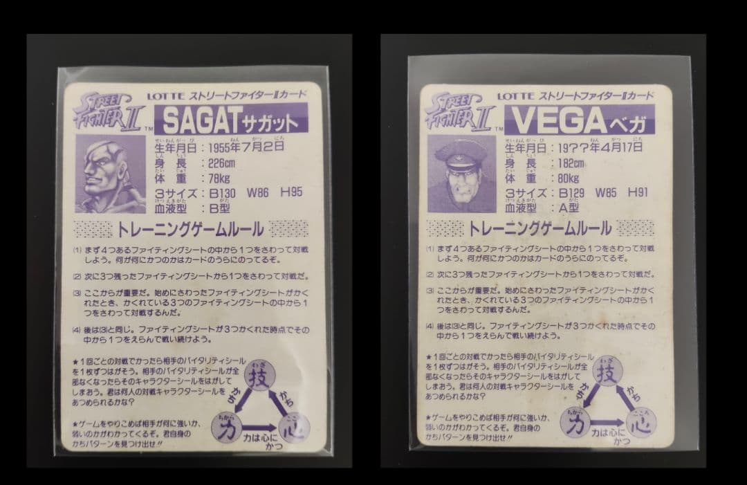 超特価セット！ 超希少 全12キャラ ストリートファイター カード