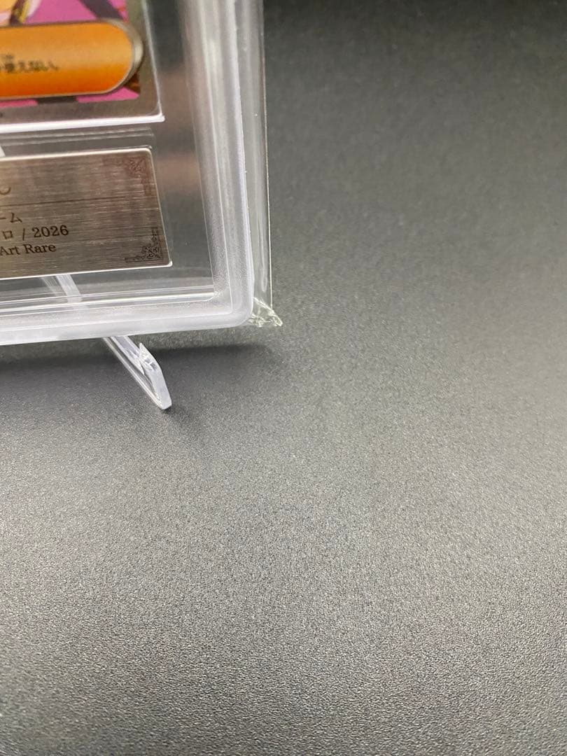 【ARS10】ぽいん。さま専用 メイのはげまし SAR