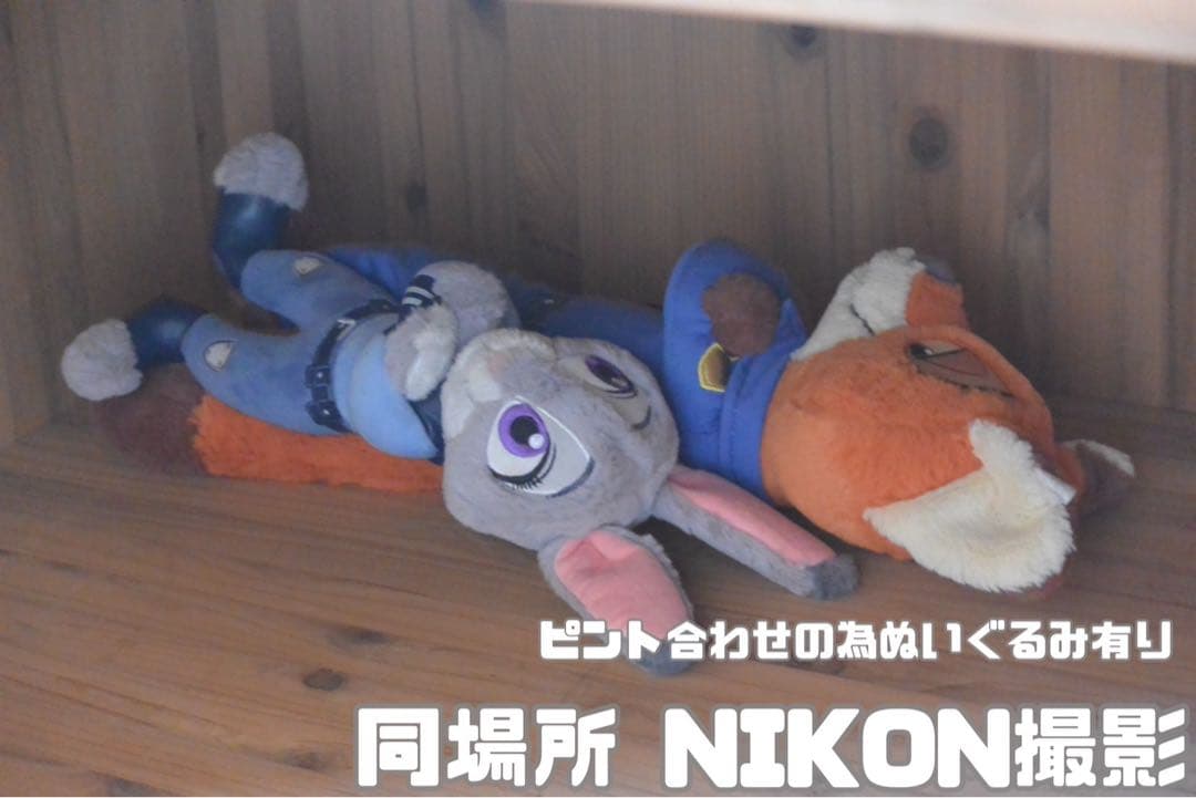 ♥️描写力抜群♥️ニコン Nikon 1 V2 標準レンズセット 32GBカード