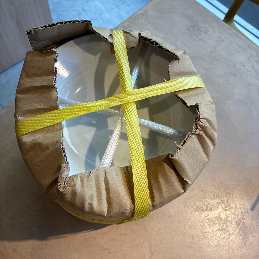 リム玉22cm深皿　20枚セット