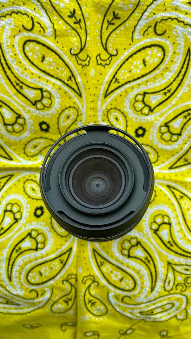 Sony FE 28-60mm F4-5.6 ズームレンズ【美品】