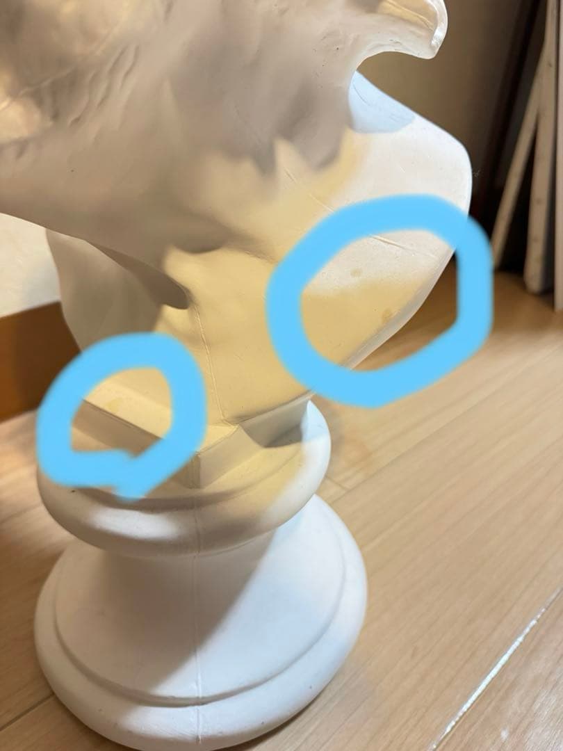 石膏セネカ