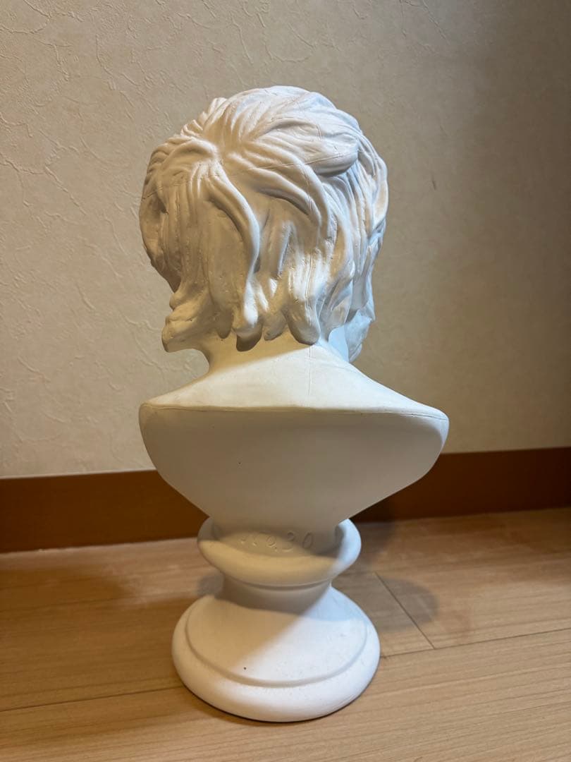 石膏セネカ