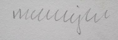 マックナイト【マサチューセッツサンポーチ】 シルクスクリーン