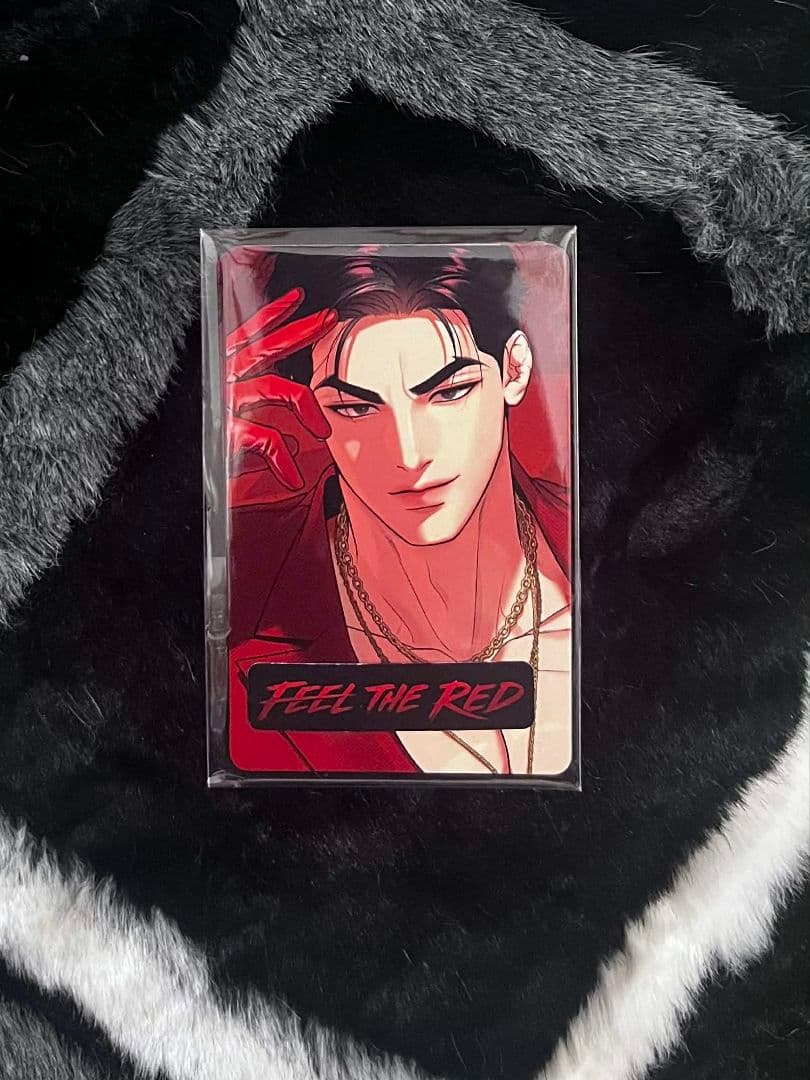 韓国BL feel the red 特典 トレカ セット