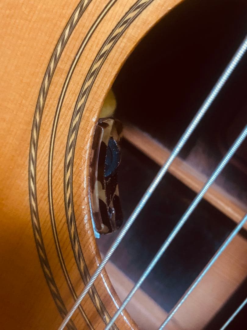 ヤマハ FG 500 赤ラベル ハカランダ単板LR Baggs lyric搭載