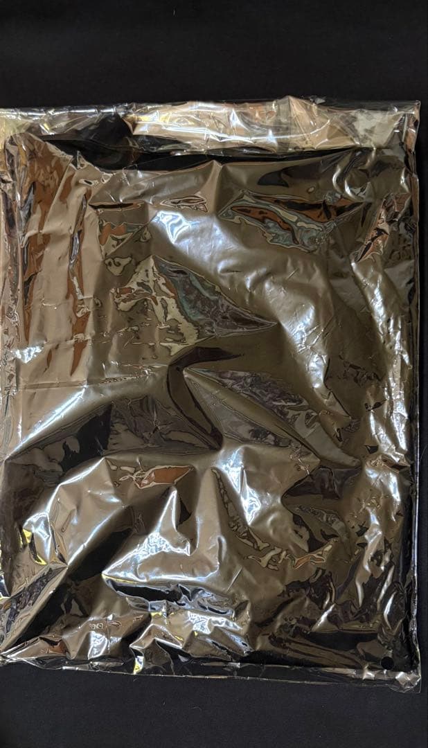 ミュージシャン GLAY