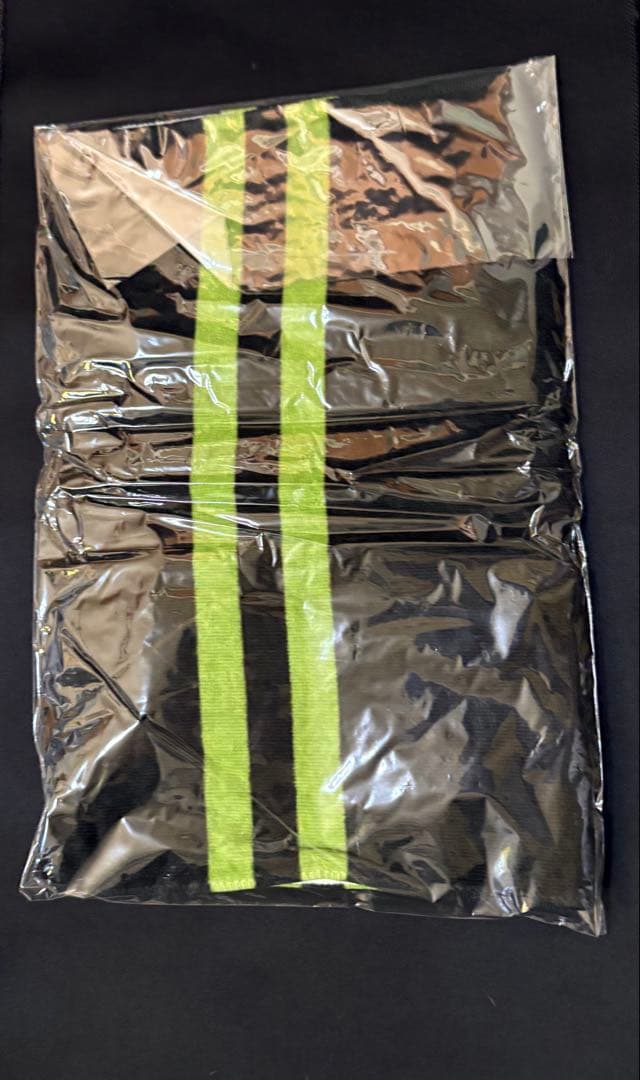 ミュージシャン GLAY