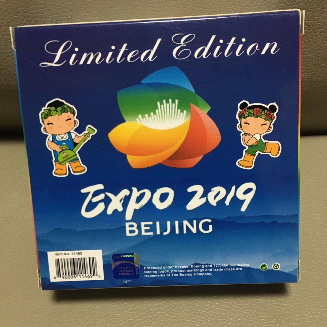 AIR CHINA 中国国際航空 737-800 EXPO2019