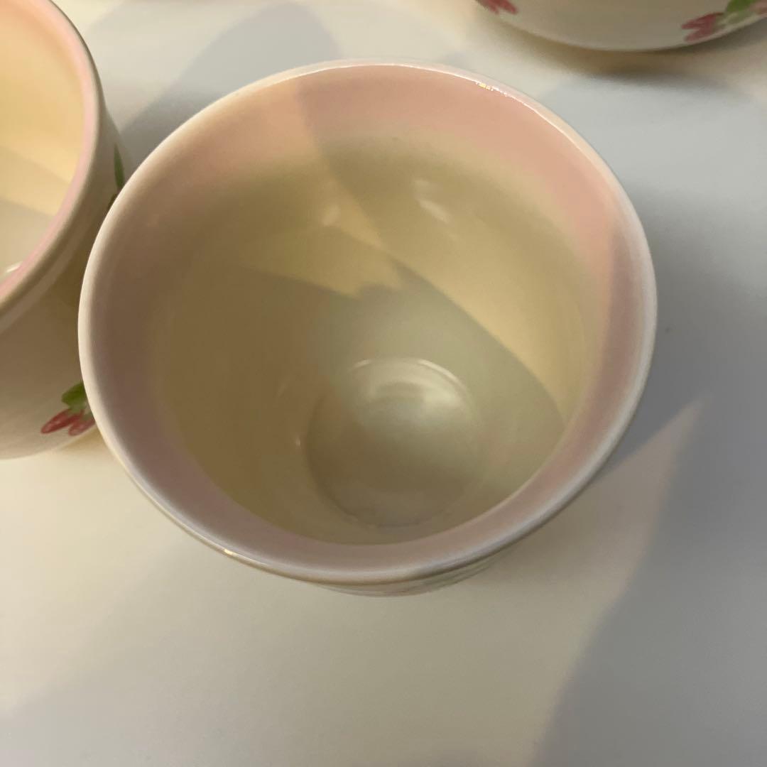 未使用　マザーガーデン 陶器　食器9点セット いちご柄