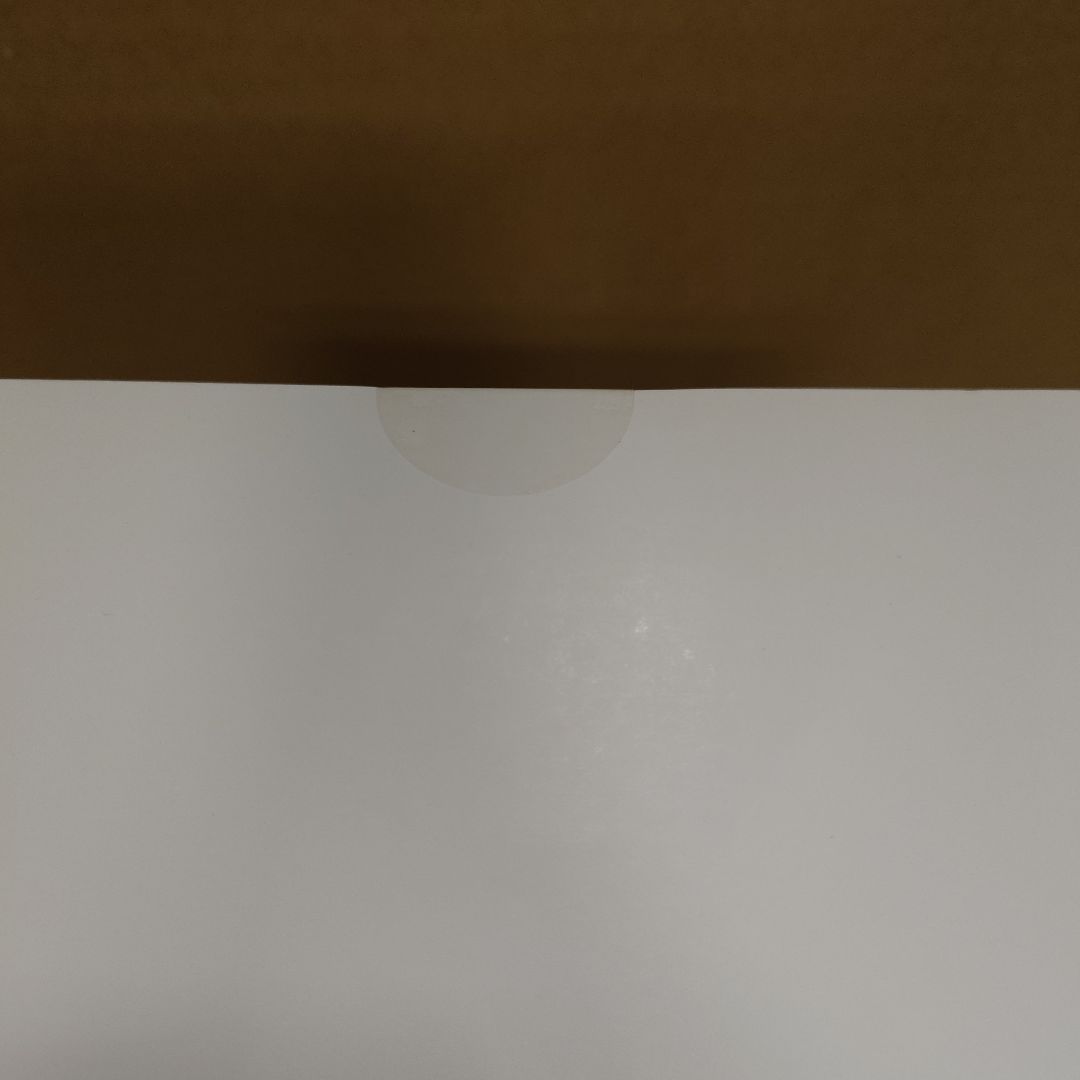 グリザイアの果実　榊由美子　フィギュア　イベント限定　オーキッドシード