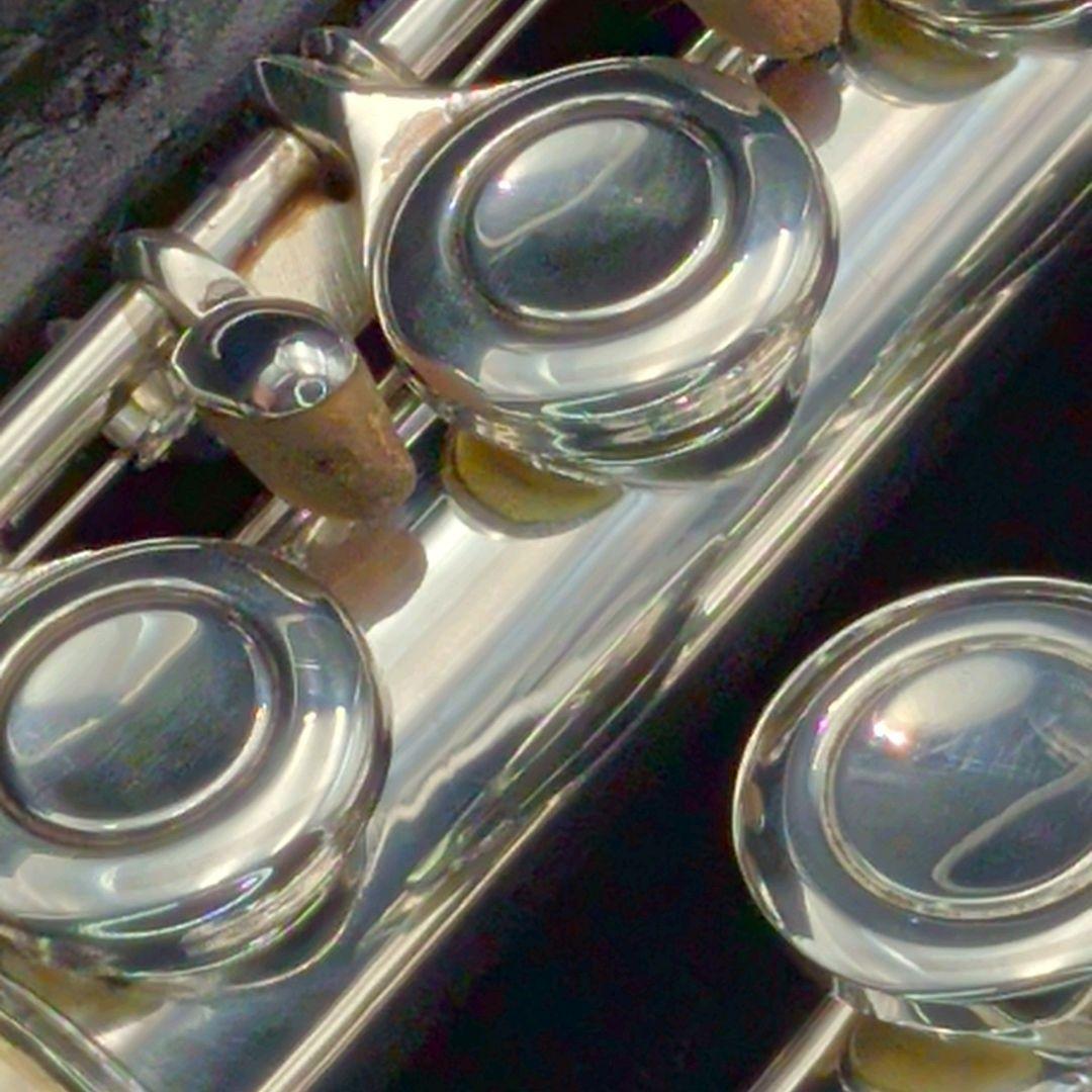 フルート　調整済　マイケルFL300S