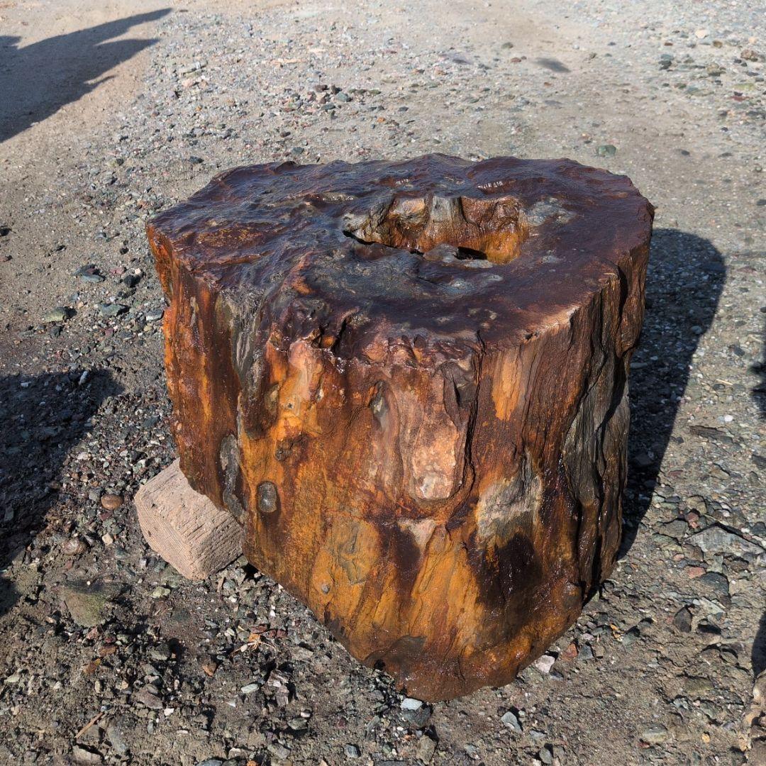 秋田産　珪化木　95キロ　庭石　石 鑑賞石　石材　木化石　オブジェ