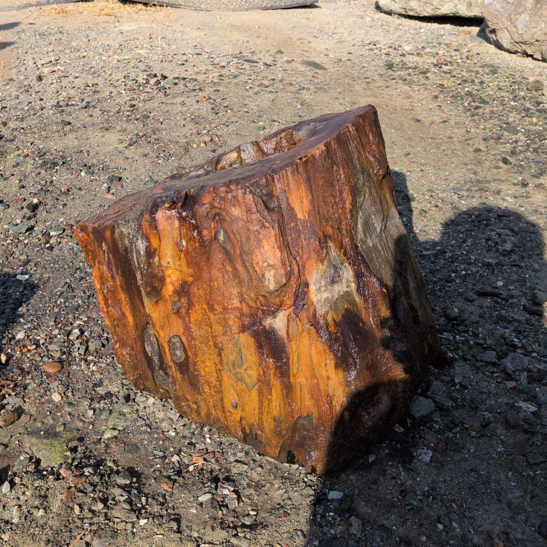 秋田産　珪化木　95キロ　庭石　石 鑑賞石　石材　木化石　オブジェ