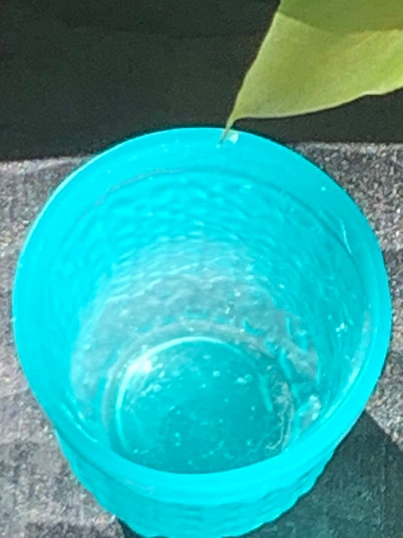 南青山ギャラリー　オコンネルズ　ターコイズ　ガラス小杯