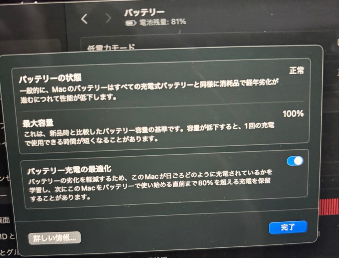 MacBook本体 MacBook Air M2 16GB 256GB 100%