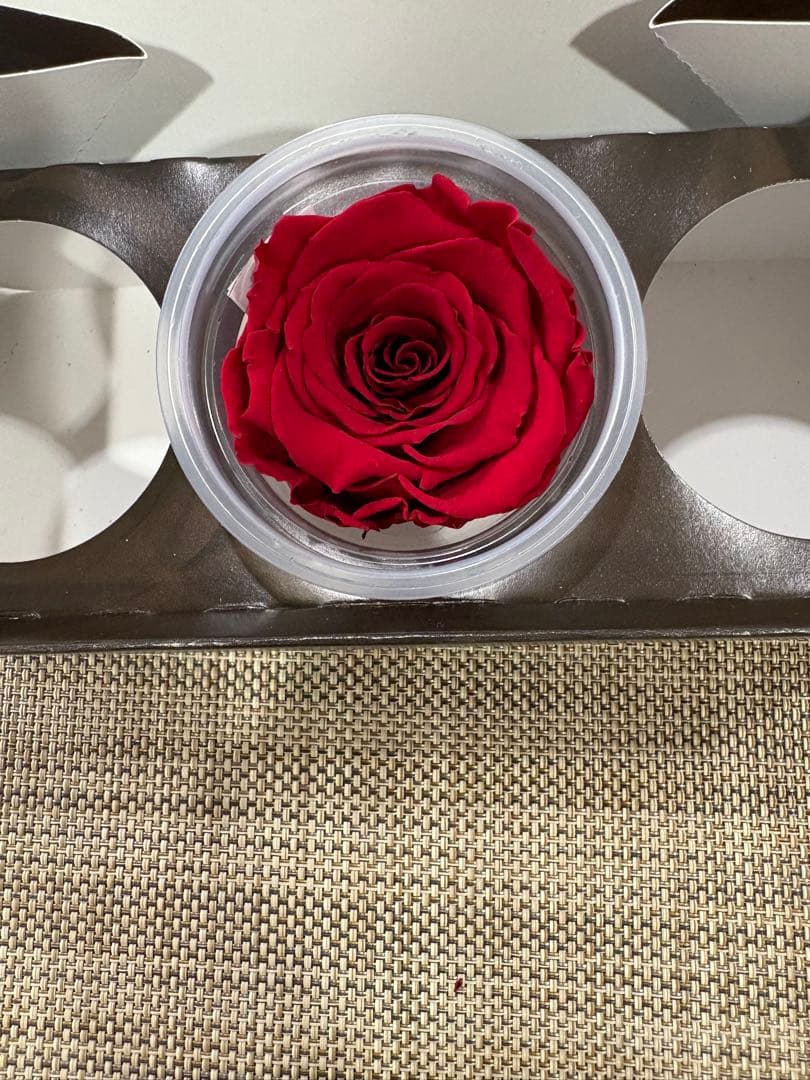 No.2 プリザーブドフラワー冬のリース