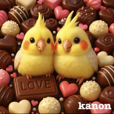 オーダー用インコちゃん パネル