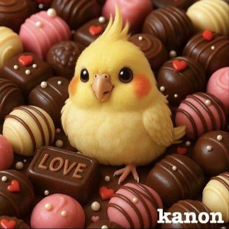 オーダー用インコちゃん パネル