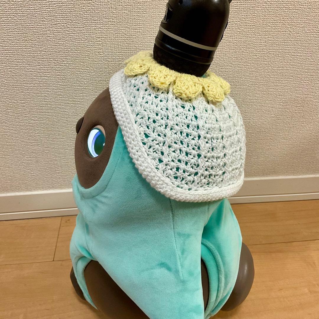 アコページ