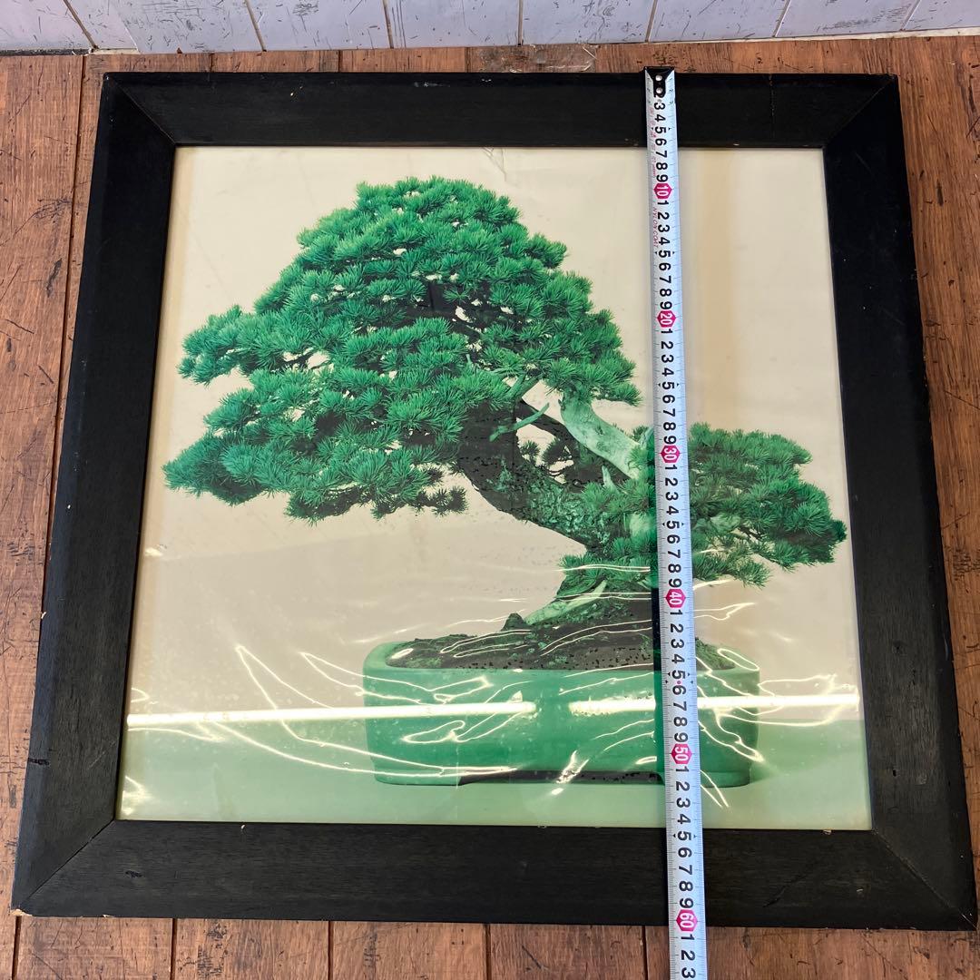 昭和レトロ アート 写真 盆栽 植木鉢 花 城 壁掛け 壁飾り 額装 額縁 額入