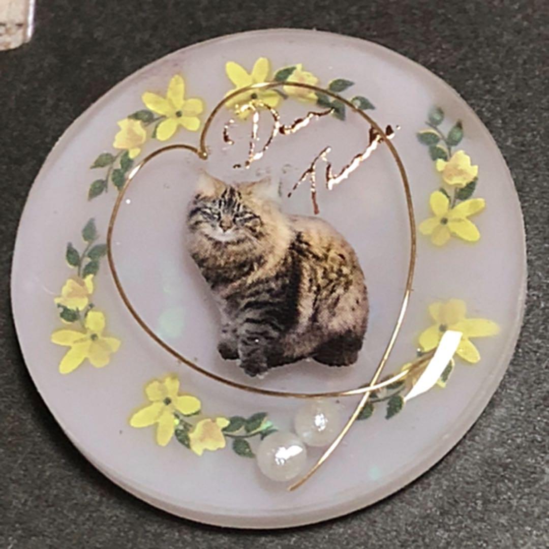 NO.121 おすまし♡猫ちゃん